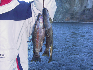  Arkansas River Fishing