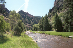 Grape Creek